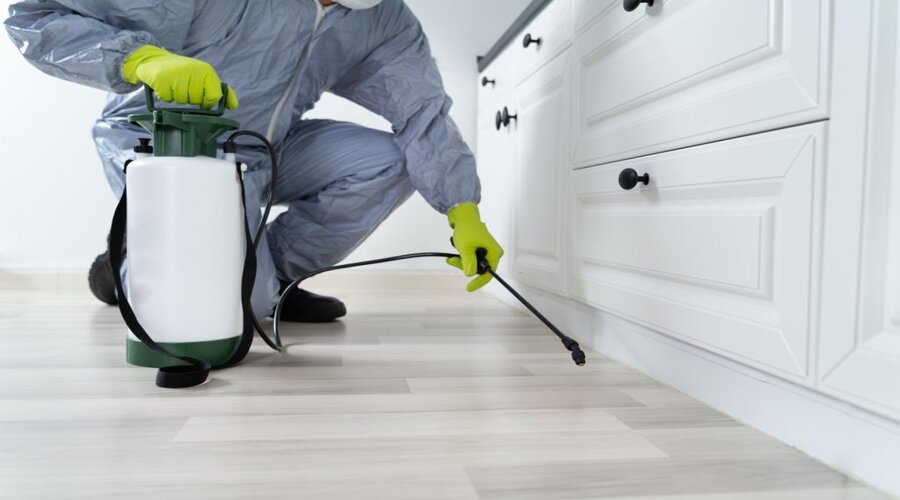 Pest Control Prices, Charges and Costs